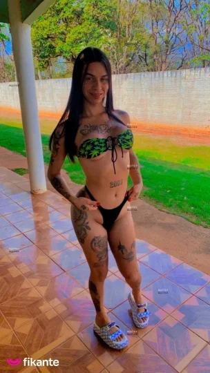 Imagem ou Vídeo