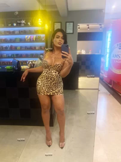 Imagem ou Vídeo