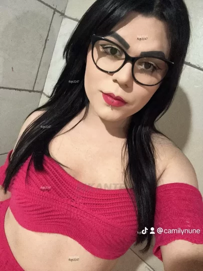 Imagem ou Vídeo