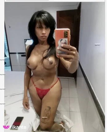 Imagem ou Vídeo