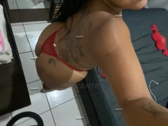Imagem ou Vídeo