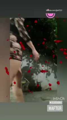 Imagem ou Vídeo