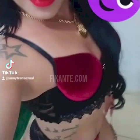 Imagem ou Vídeo