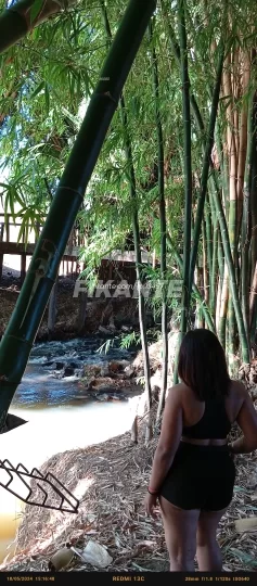 Imagem ou Vídeo