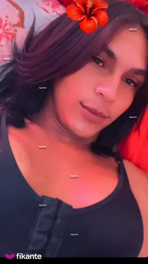 Imagem ou Vídeo