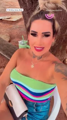 Imagem ou Vídeo