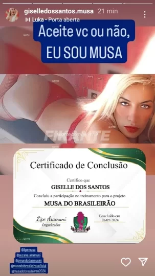 Imagem ou Vídeo